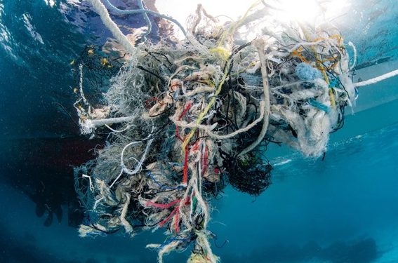 Conservation dive